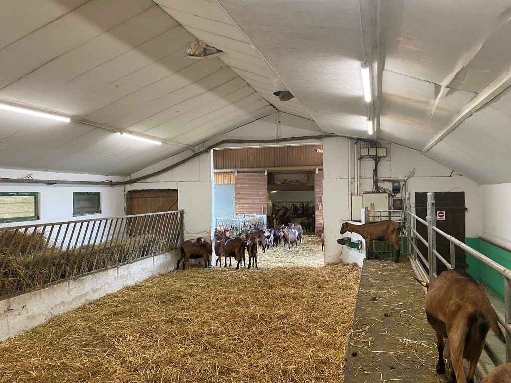 replace fluorescent tubes with LED