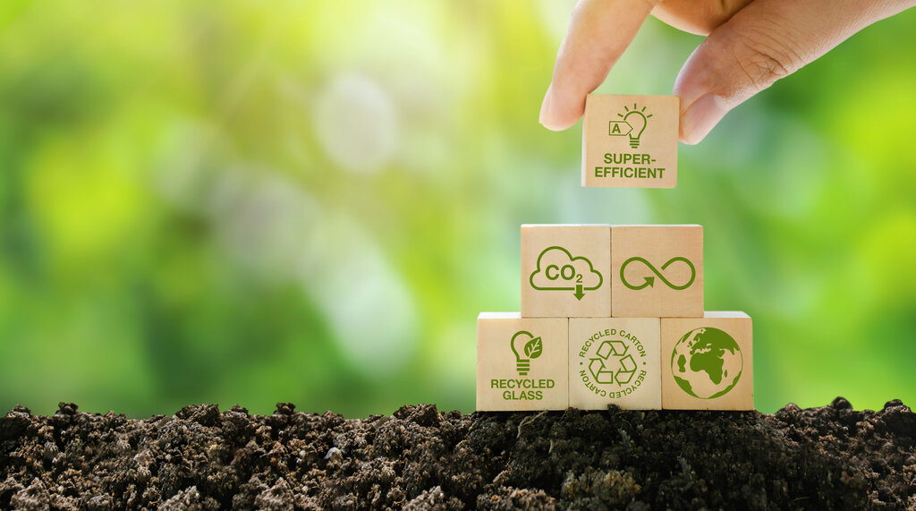 phase out of incandescent light bulbs to achieve sustainability